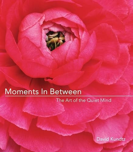 Moments between the - in, between: